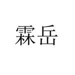 霖岳商标查询